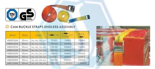 25MM endless cam buckle strap (Item No. 61) — Ratchet Tie Down image 3 of 4