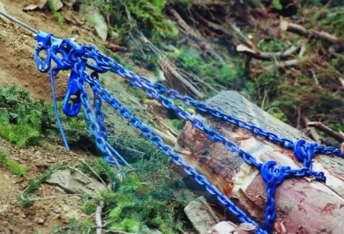 Grade 100 G100 Hook — Clevis Forest Hook (Item No. 150) — Rigging hardware image 3 of 4