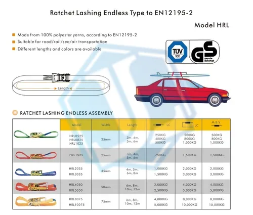 25MM endless ratchet strap (Item No. 19) — Ratchet Tie Down image 2 of 4